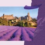 Festa della Lavanda